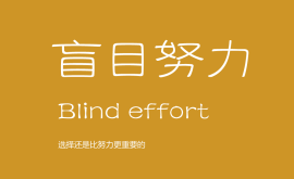 我不反對努力，但我反對盲目的努力